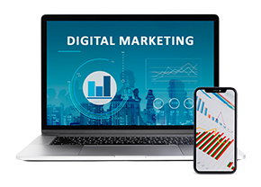 digital marketing services warren