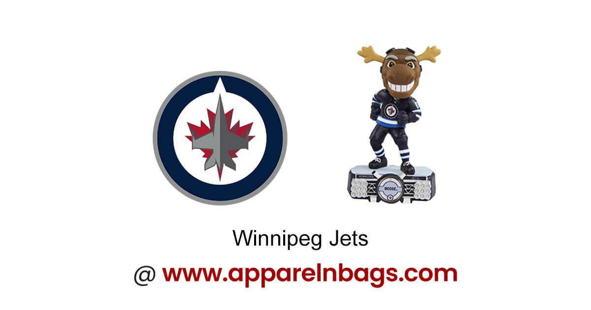 Winnipeg jets ice hockey team uniform colors Vector Image