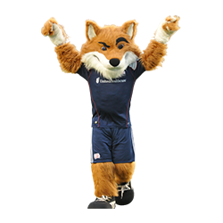 FOXBOROUGH, MA - JUNE 10: Slyde, the New England Revolution mascot