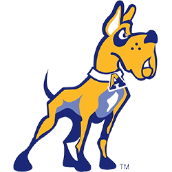 Albany Great Danes Color Codes - Color Codes in Hex, Rgb, Cmyk, Pantone