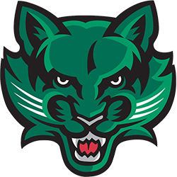 Binghamton Bearcats Color Codes - Color Codes in Hex, Rgb, Cmyk, Pantone