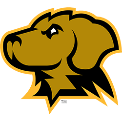 UMBC Retrievers Color Codes - Color Codes in Hex, Rgb, Cmyk, Pantone