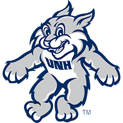 Men's Champion Navy New Hampshire Wildcats Icon Logo Hockey Jersey T-Shirt