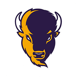 Lipscomb Bisons Basketball Jersey - Purple
