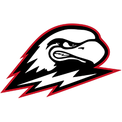 Southern Utah University Thunderbirds NCAA Flag Tee T-Shirt 