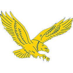 Coppin State Eagles Color Codes - Color Codes in Hex, Rgb, Cmyk, Pantone