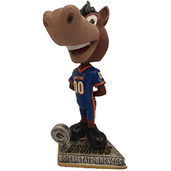 Boise State Broncos Mascot Custom Caps - Tagotee