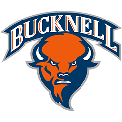 Bucknell Bison Color Codes - Color Codes in Hex, Rgb, Cmyk, Pantone