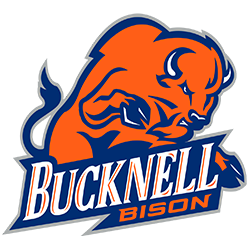 Bucknell Bison Color Codes - Color Codes in Hex, Rgb, Cmyk, Pantone