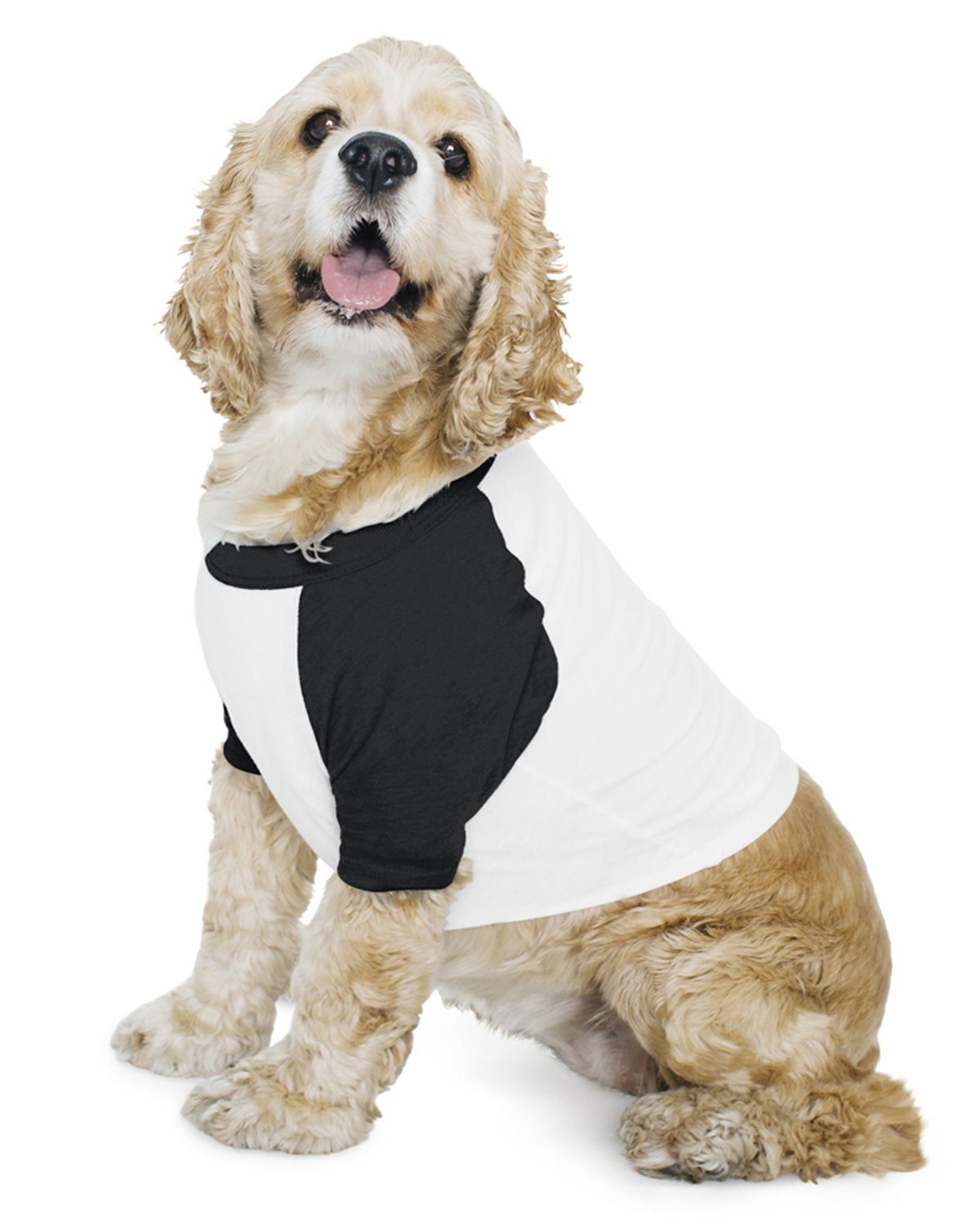 American Apparel BB953W Poly-Cotton Raglan Dog T-Shirt