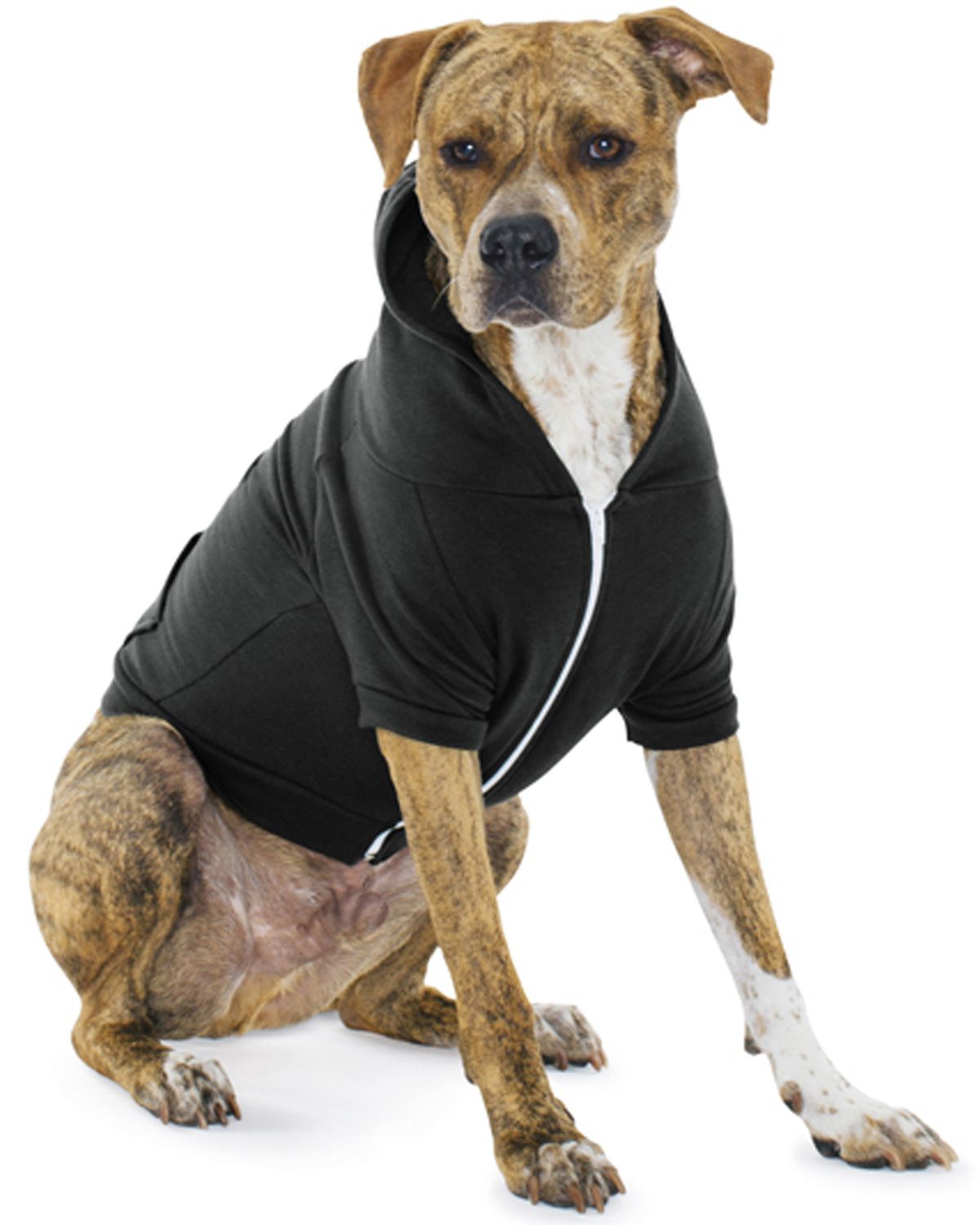 American Apparel F997W Flex Fleece Dog Hooded Sweatshirt