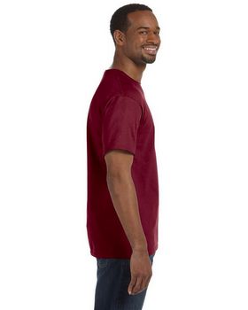 Hanes 5250T Men's Tagless T Shirt