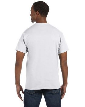 Hanes 5250 Men's 100% Cotton Comfort Tee